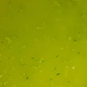 Mojo Verde Recipe